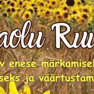 Heaolu Ruum - päev enese märkamiseks, hoidmiseks ja väärtustamiseks